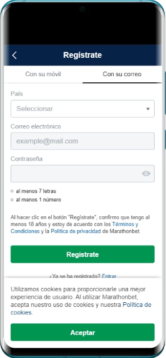 Proceso de Registro 