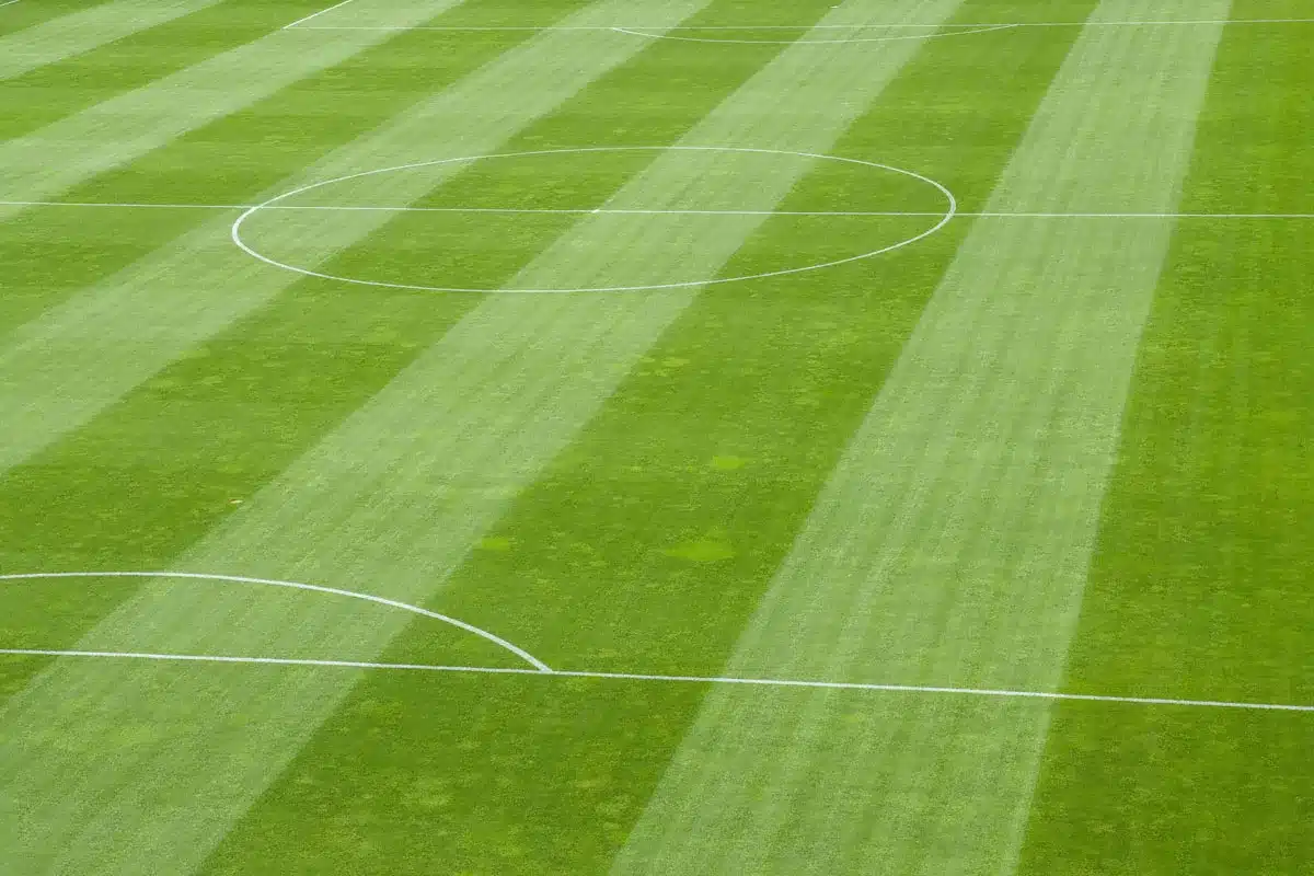 Pronósticos Real Madrid vs Elche | LaLiga